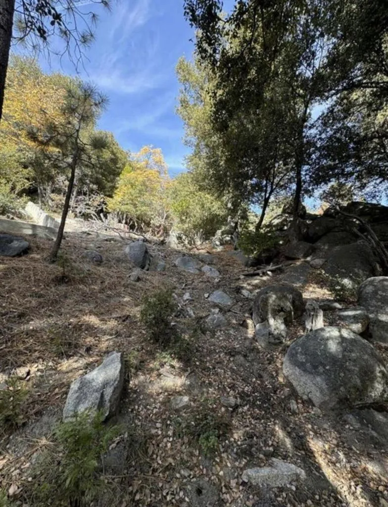53642 Jeffrey Pine Court Idyllwild, CA 92549