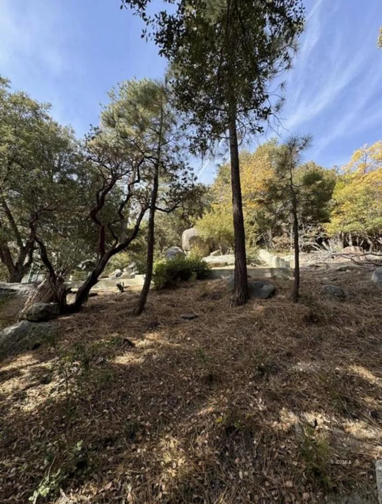 53642 Jeffrey Pine Court Idyllwild, CA 92549