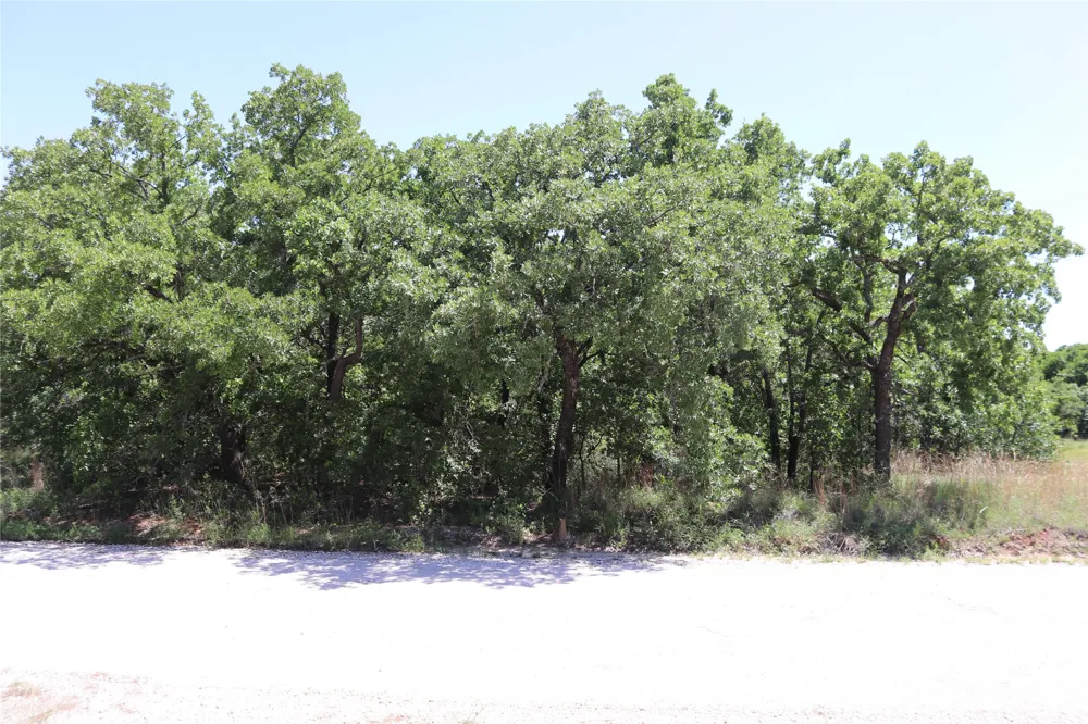 169 Rivercrest Drive Nocona, TX 76255