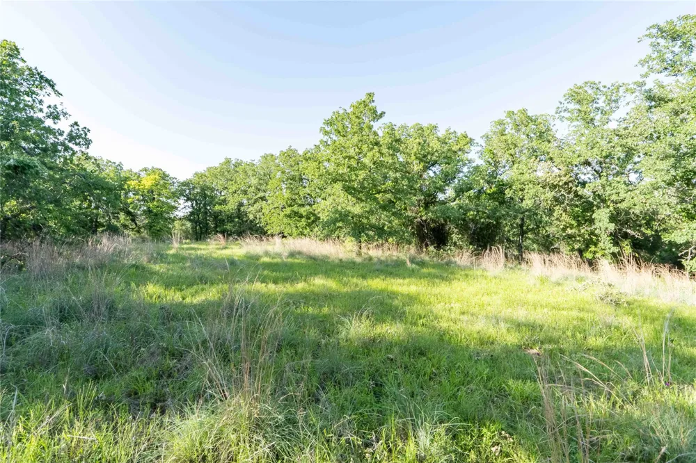 53 CR 3757 Springtown, TX 76082