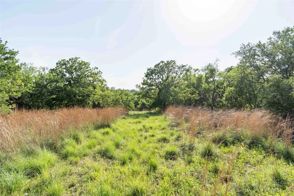 53 CR 3757 Springtown, TX 76082