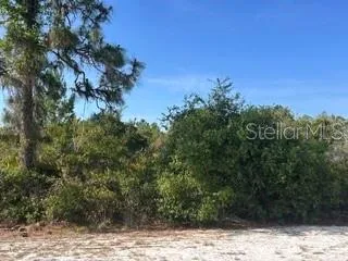 713 (BLK 123 LOTS 15&16) CAMELLIA DRIVE