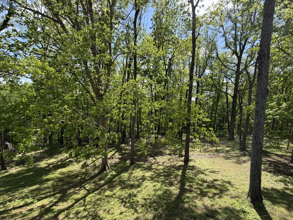 159 W Hester Rd Cottontown, TN 37048