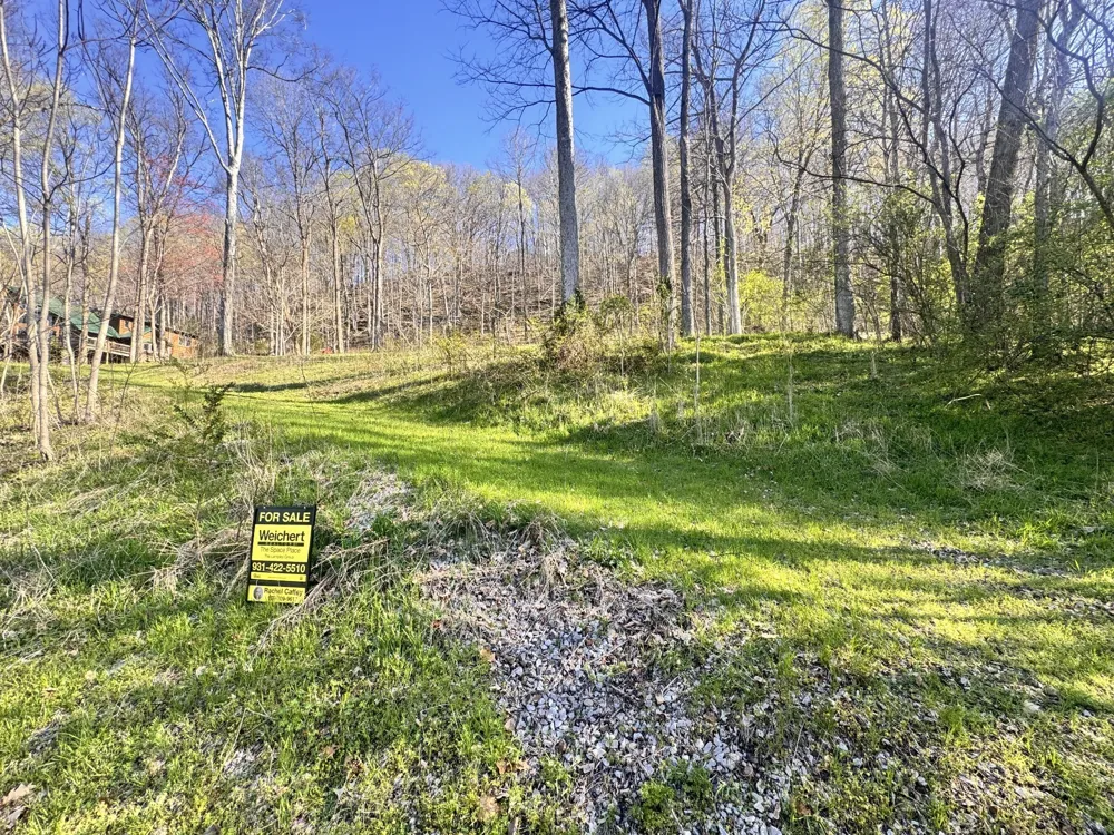 0 Lake view Drive Smithville, TN 37166