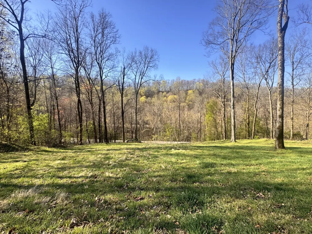 0 Lake view Drive Smithville, TN 37166