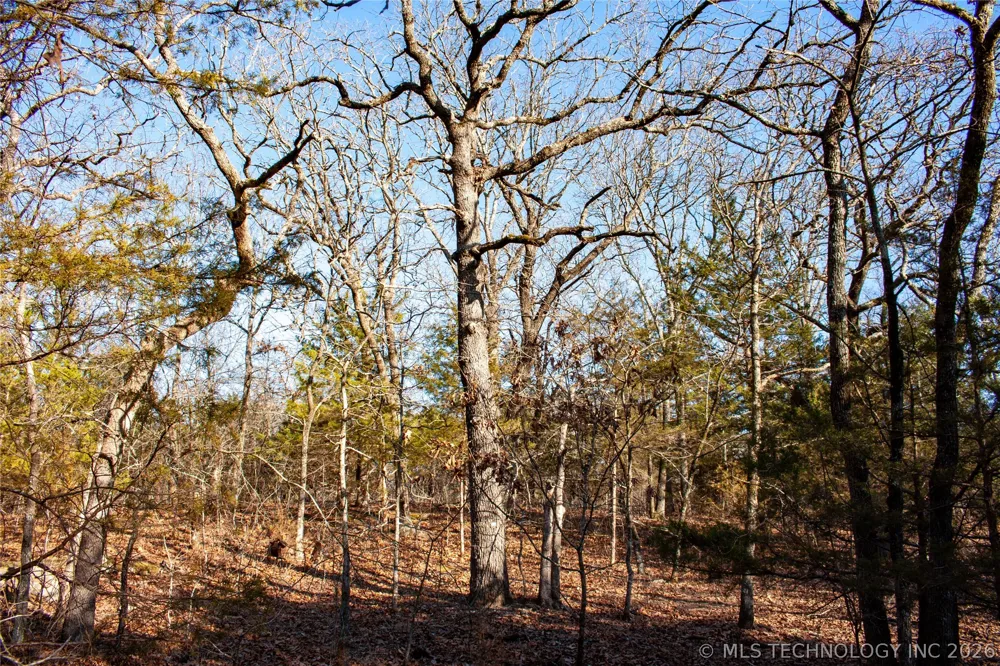 Francis Road Byng, OK 74820