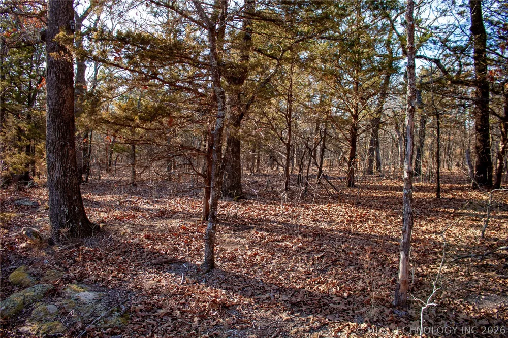 Francis Road Byng, OK 74820