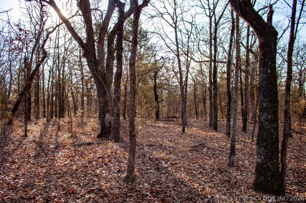 Francis Road Byng, OK 74820