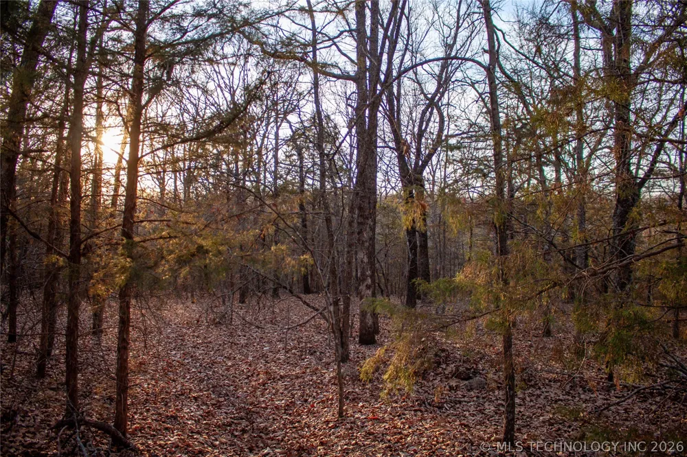 Francis Road Byng, OK 74820