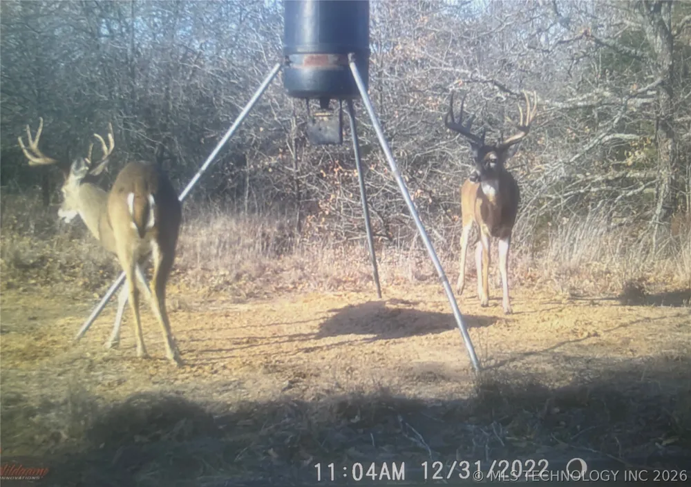 Francis Road Byng, OK 74820