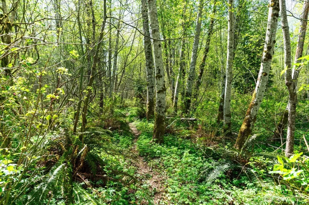 0 XXX Mountain View Boulevard SE North Bend, WA 98045