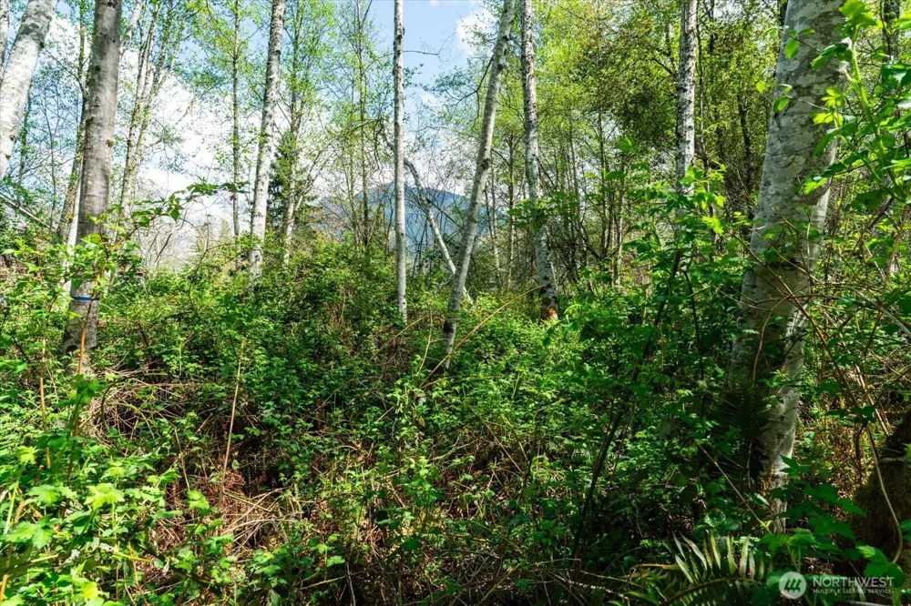 0 XXX Mountain View Boulevard SE North Bend, WA 98045