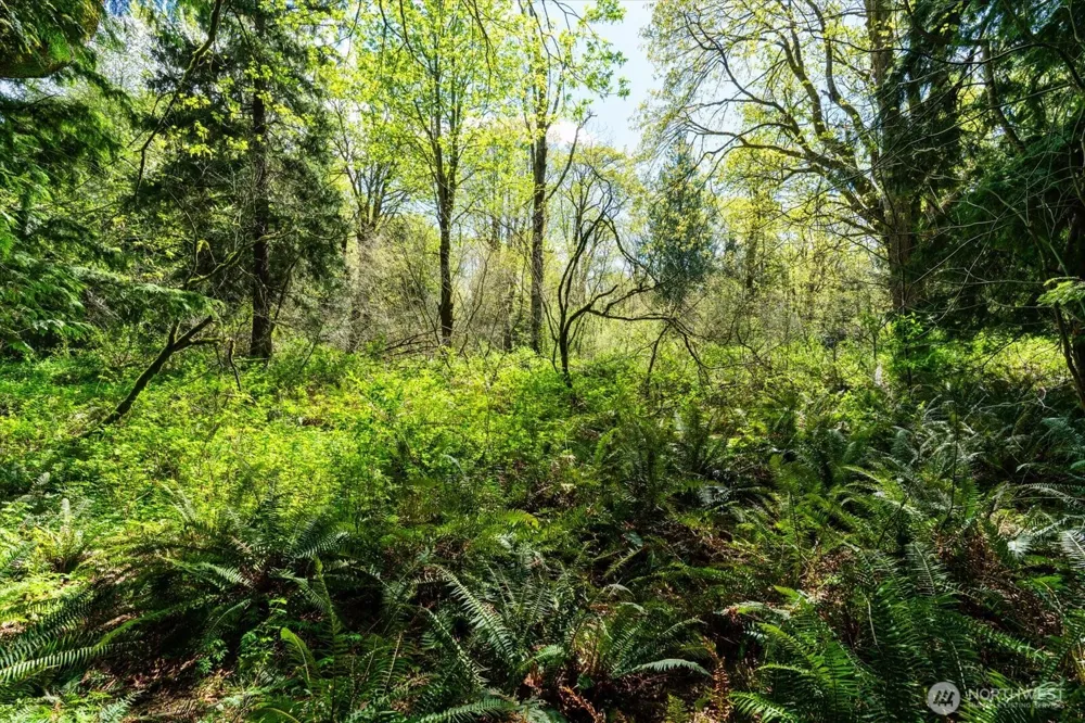 0 XXX Mountain View Boulevard SE North Bend, WA 98045