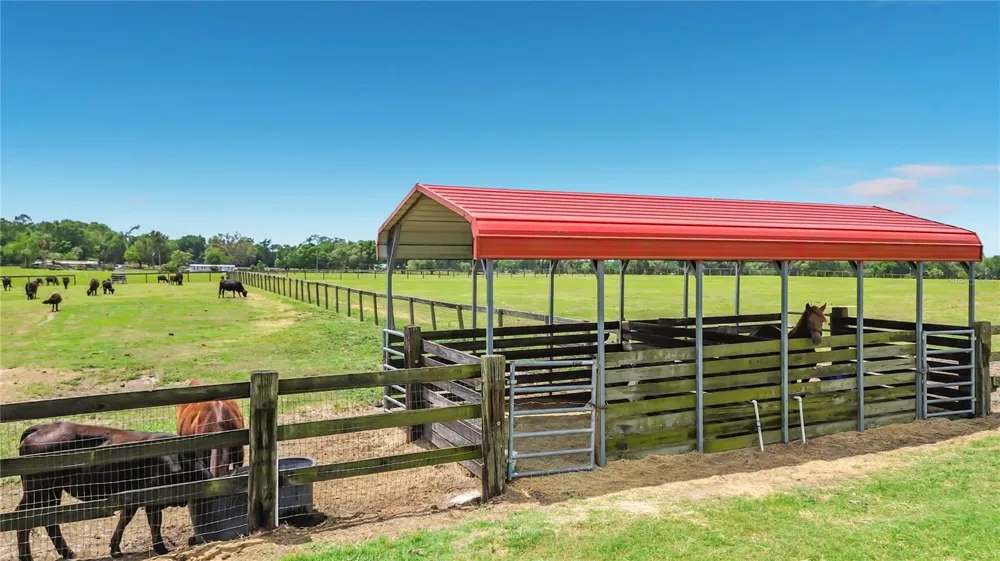 16750 SE 19TH COURT Summerfield, FL 34491