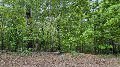 28077 Lame Deer Ridge Road