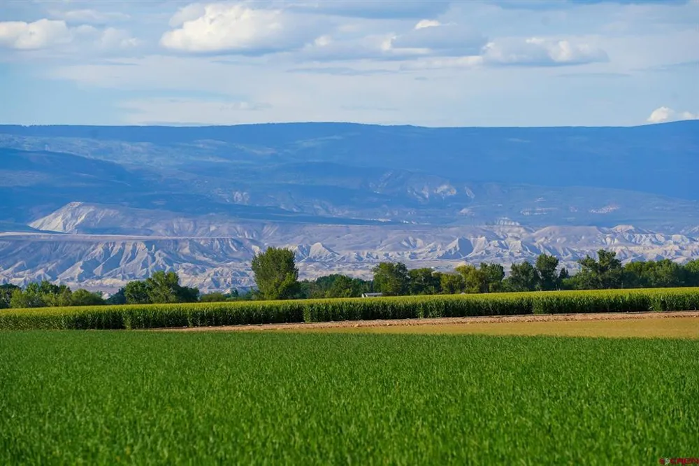 Banner Road Delta, CO 81416