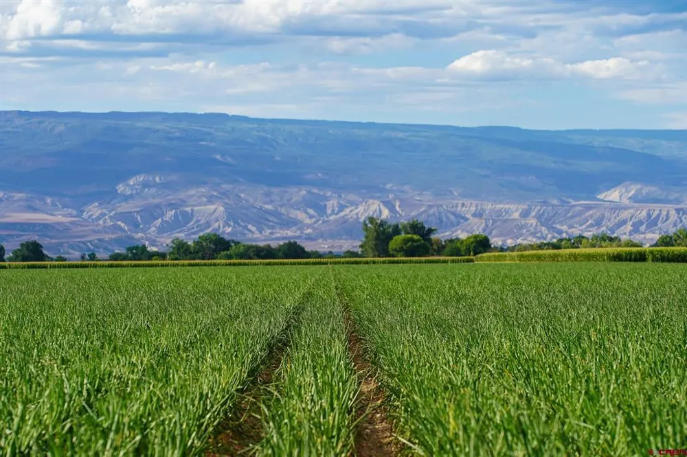 Banner Road Delta, CO 81416