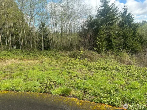 10 Timber Lane