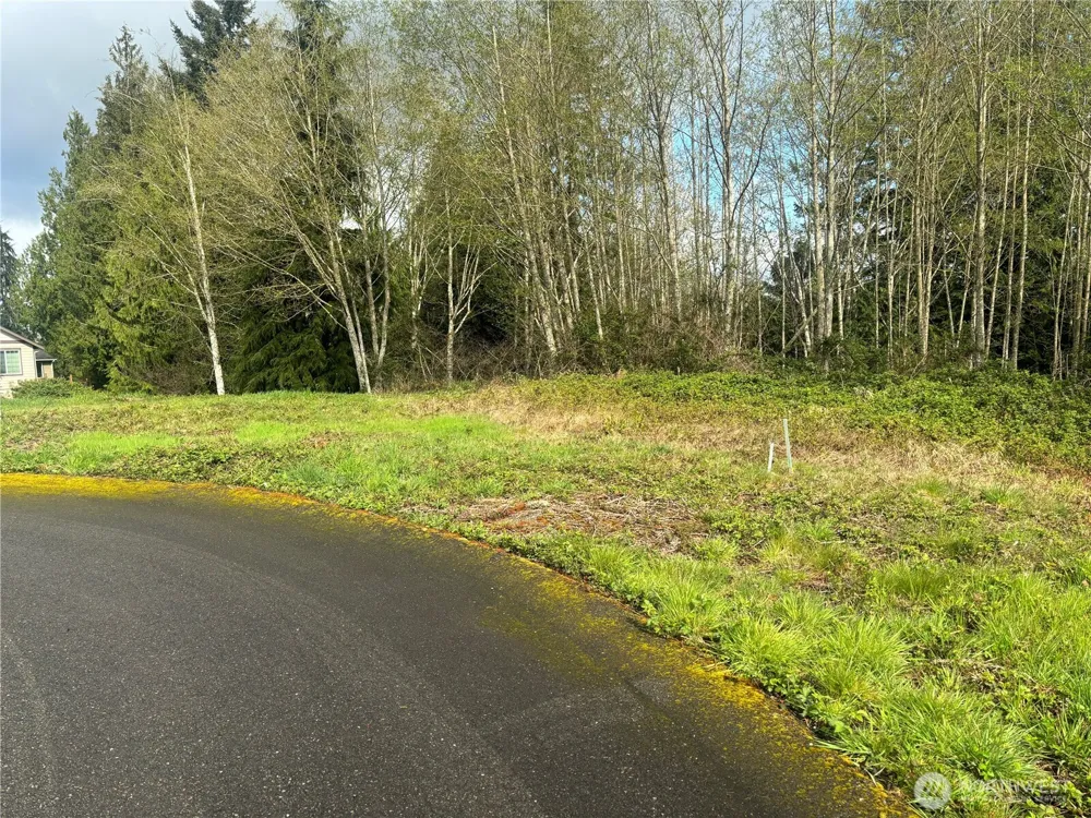 10 Timber Lane Elma, WA 98541