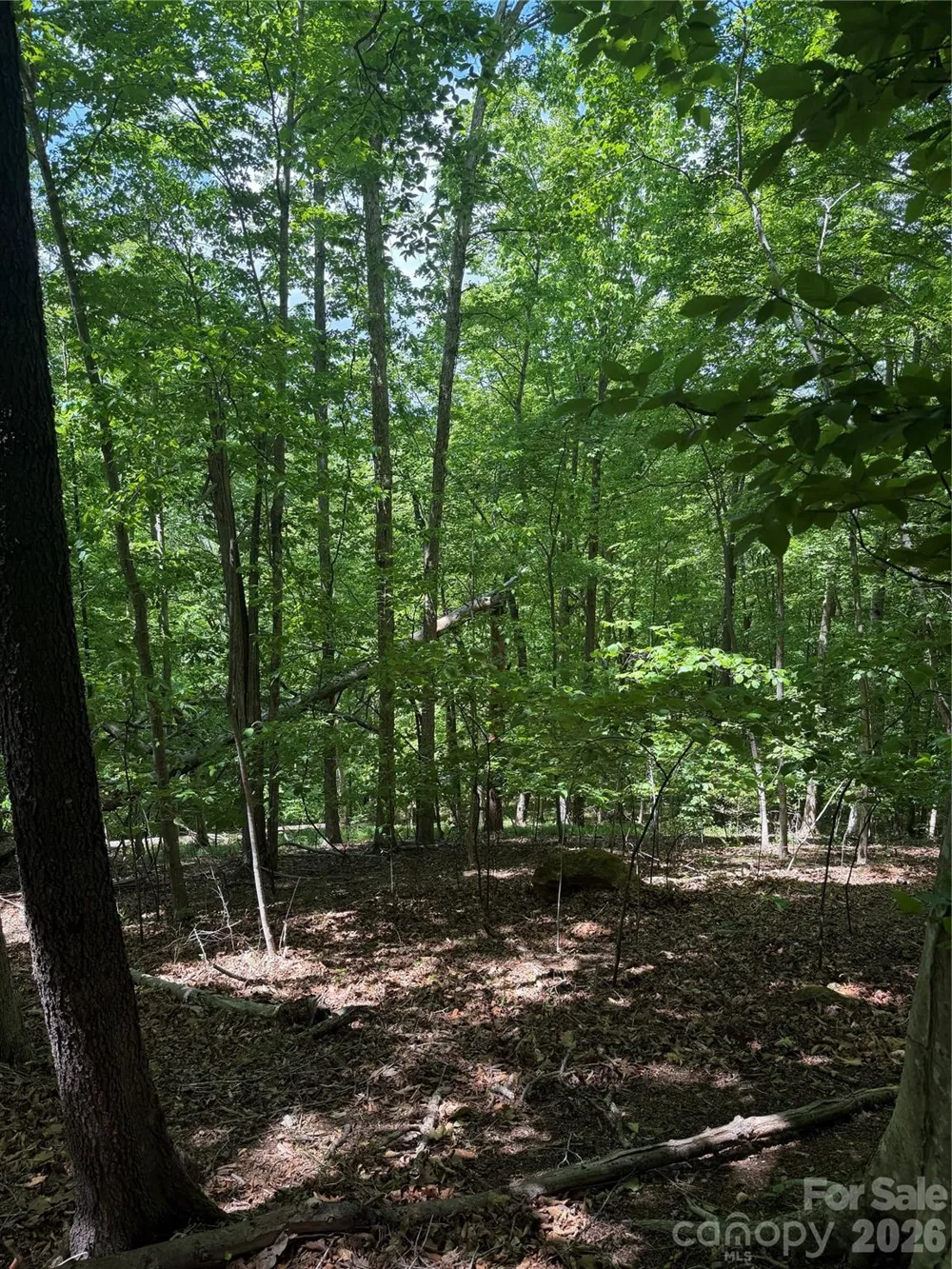 0 Creekside Circle #135 Rutherfordton, NC 28139