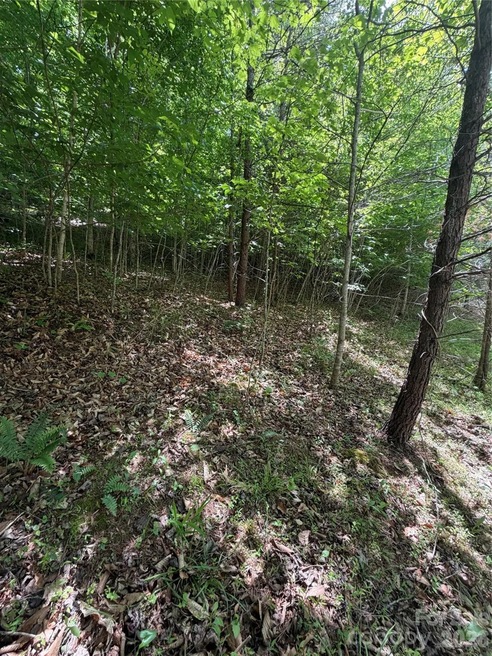 0 Creekside Circle #135 Rutherfordton, NC 28139