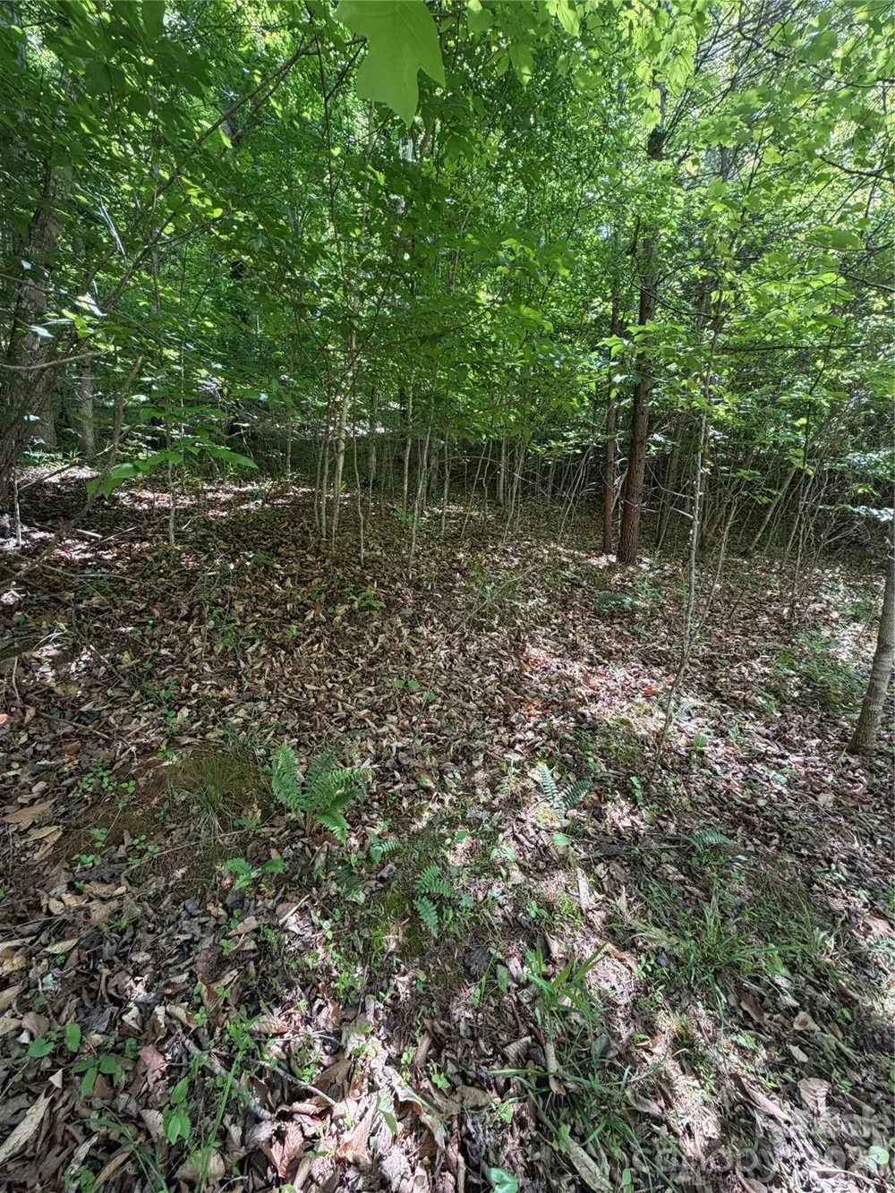 0 Creekside Circle #135 Rutherfordton, NC 28139
