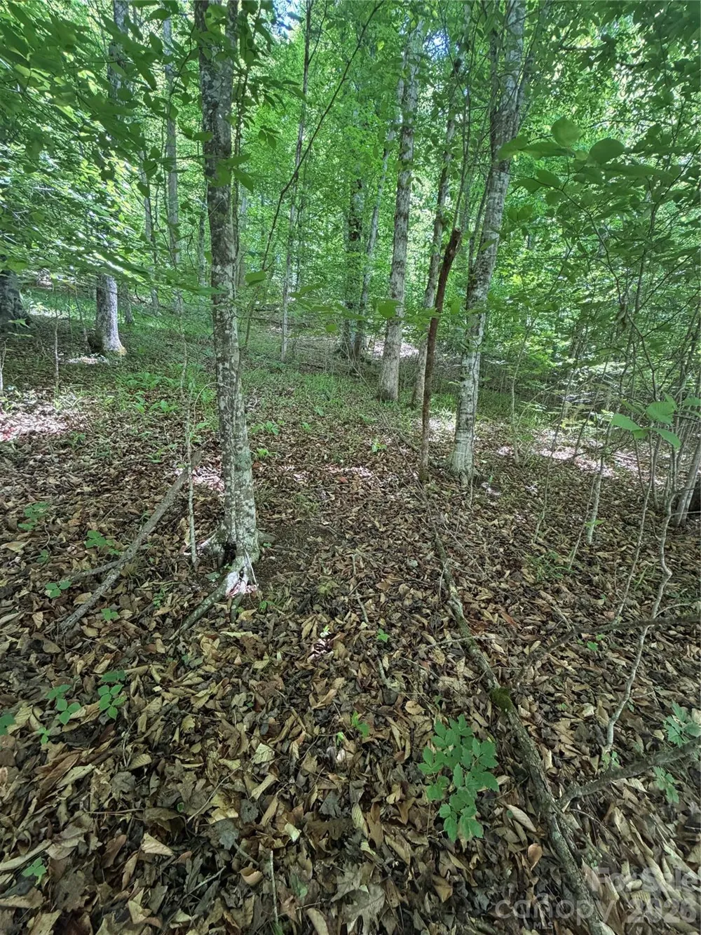 0 Creekside Circle #135 Rutherfordton, NC 28139