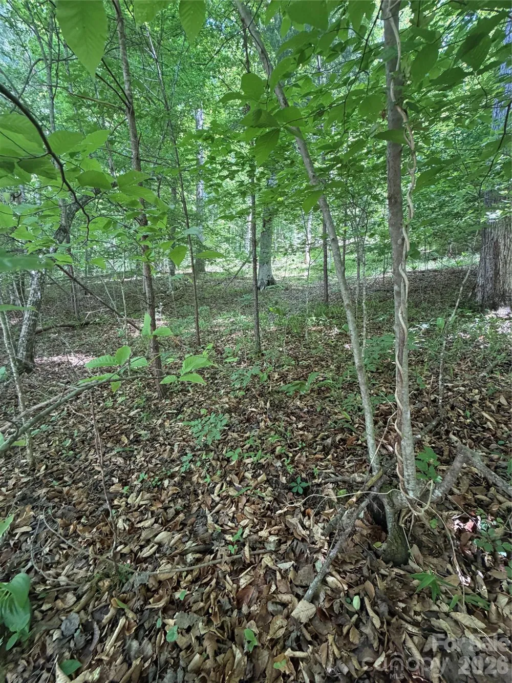 0 Creekside Circle #135 Rutherfordton, NC 28139