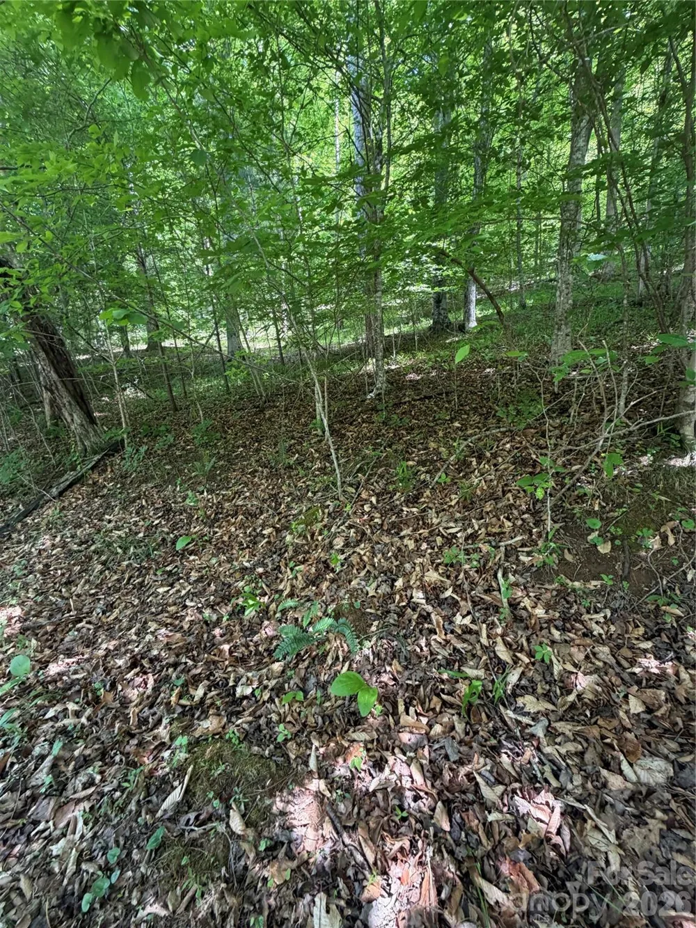 0 Creekside Circle #135 Rutherfordton, NC 28139