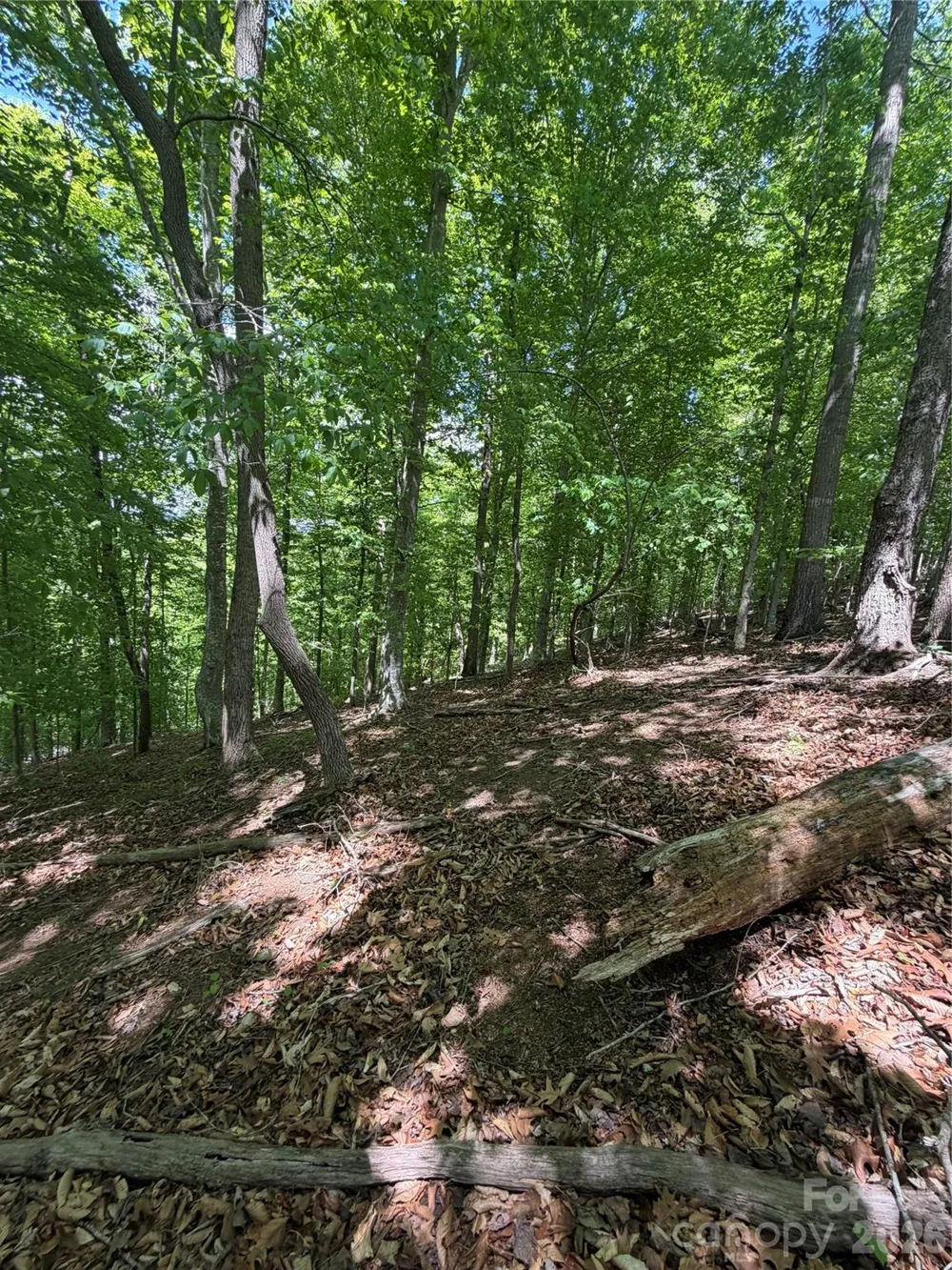 0 Creekside Circle #135 Rutherfordton, NC 28139