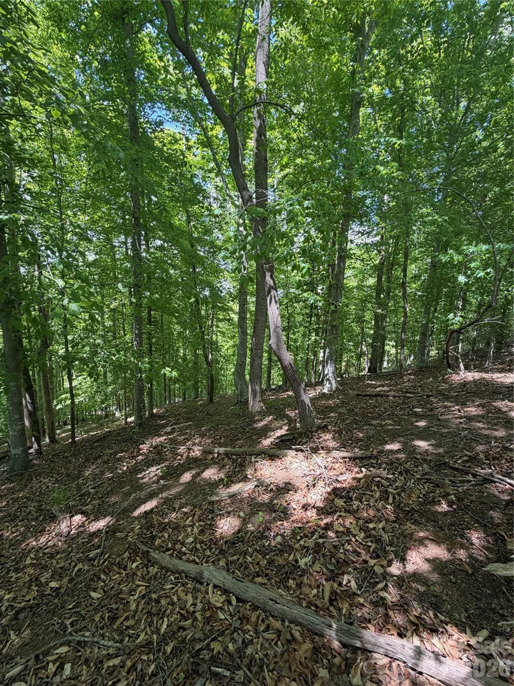 0 Creekside Circle #135 Rutherfordton, NC 28139