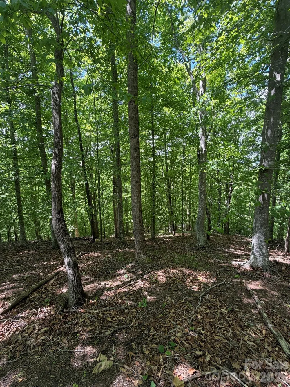 0 Creekside Circle #135 Rutherfordton, NC 28139