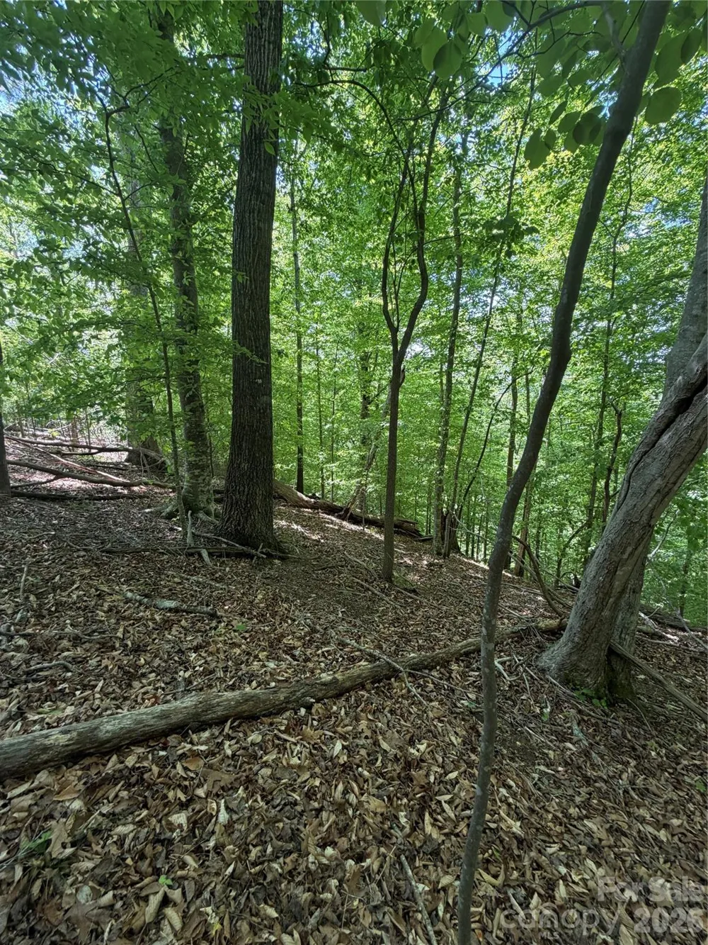 0 Creekside Circle #135 Rutherfordton, NC 28139
