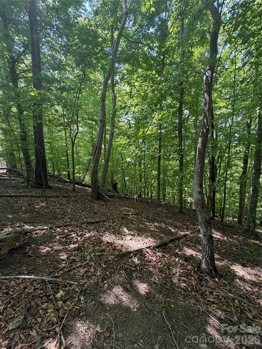 0 Creekside Circle #135 Rutherfordton, NC 28139