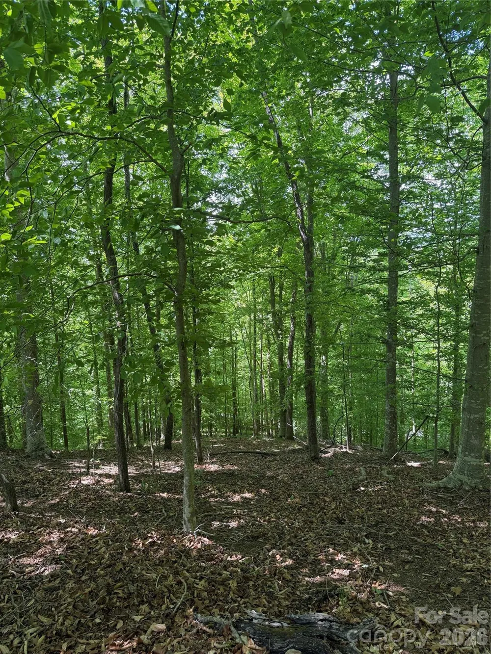 0 Creekside Circle #135 Rutherfordton, NC 28139
