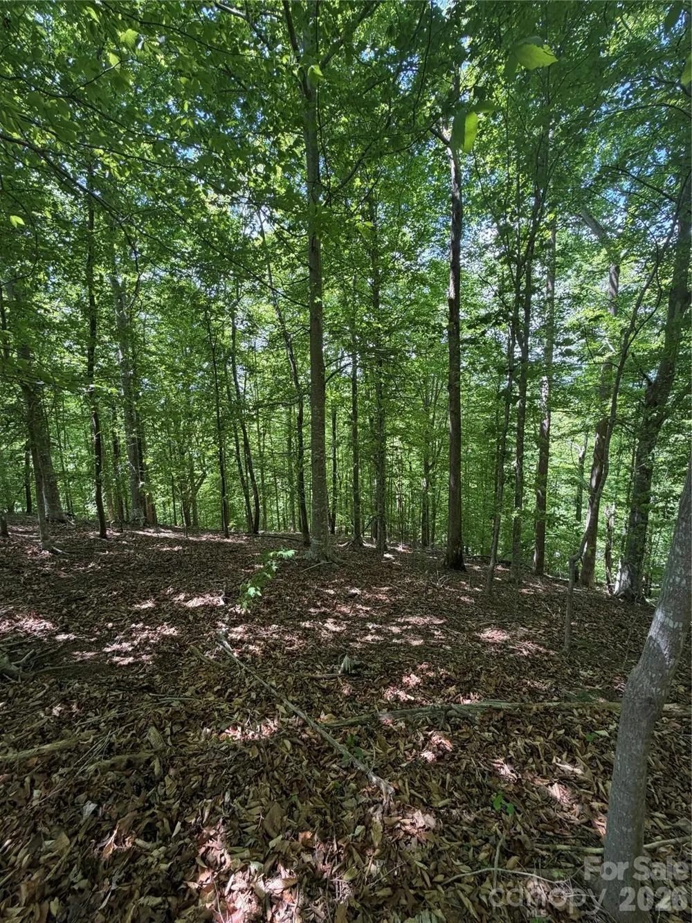 0 Creekside Circle #135 Rutherfordton, NC 28139