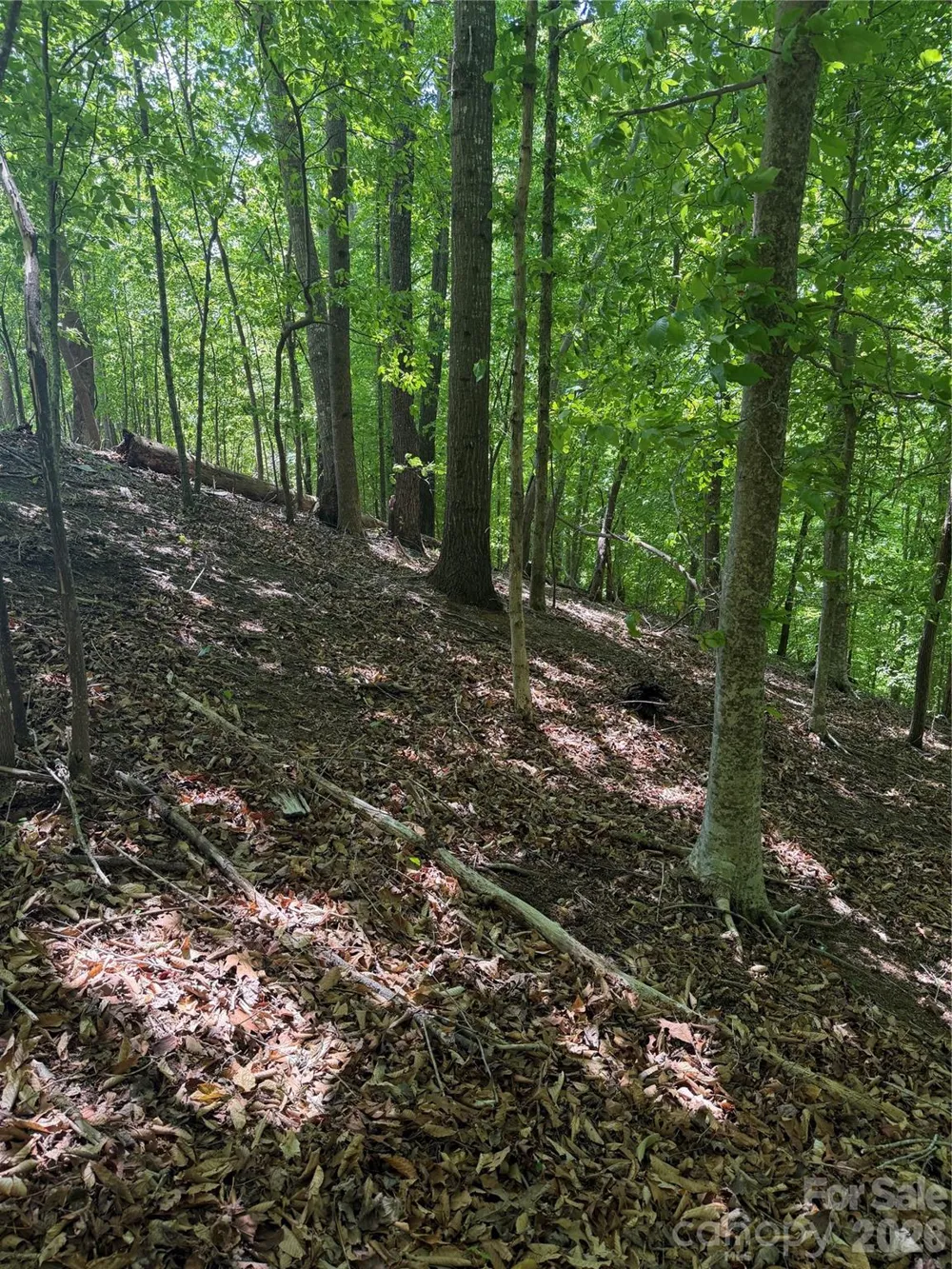 0 Creekside Circle #135 Rutherfordton, NC 28139