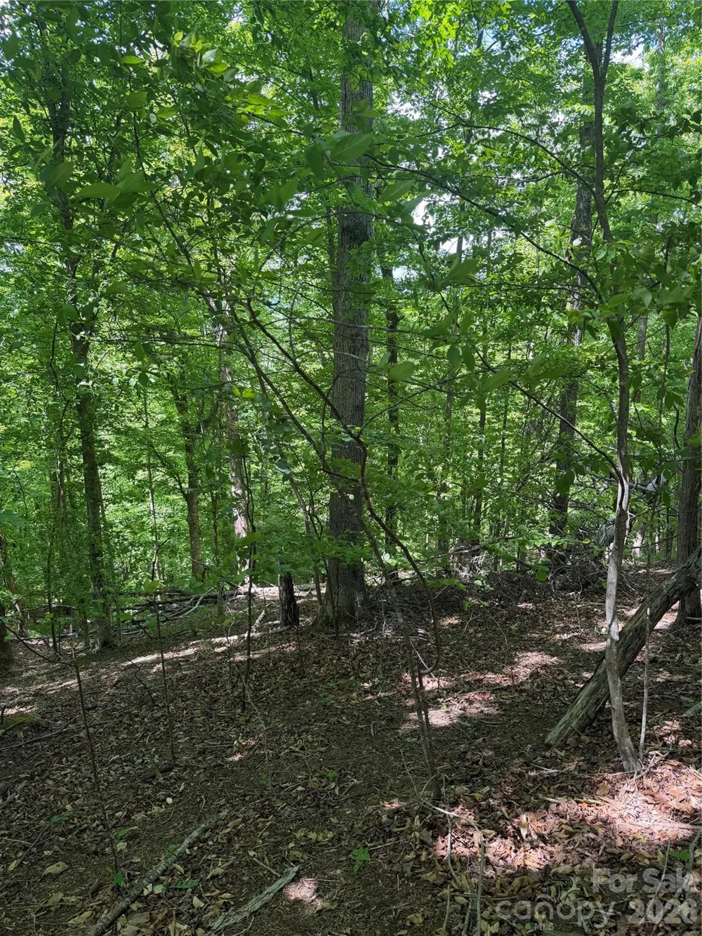 0 Creekside Circle #135 Rutherfordton, NC 28139