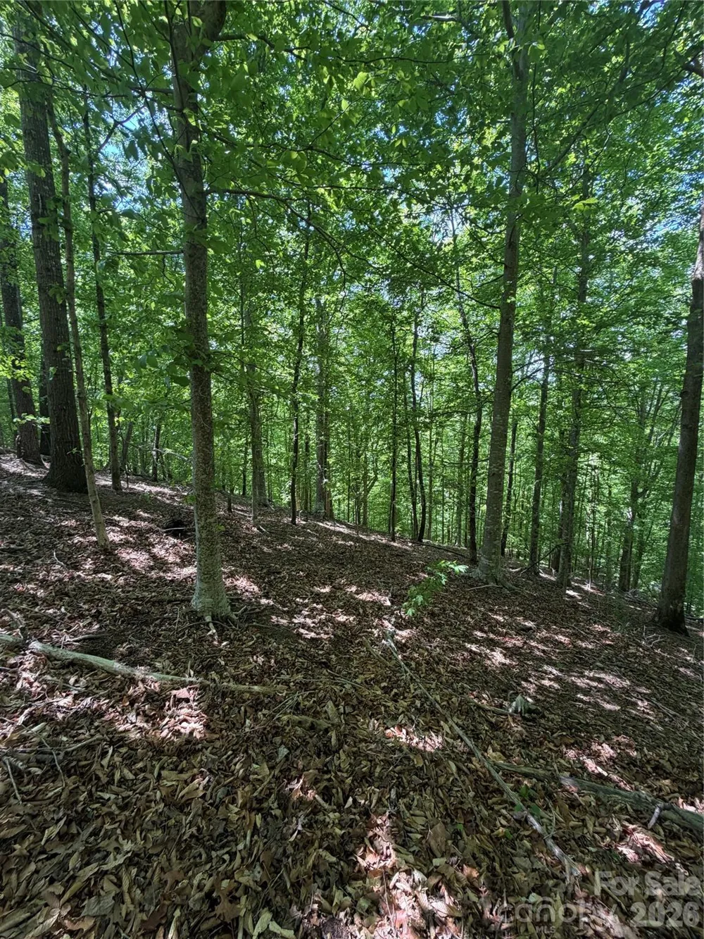0 Creekside Circle #135 Rutherfordton, NC 28139