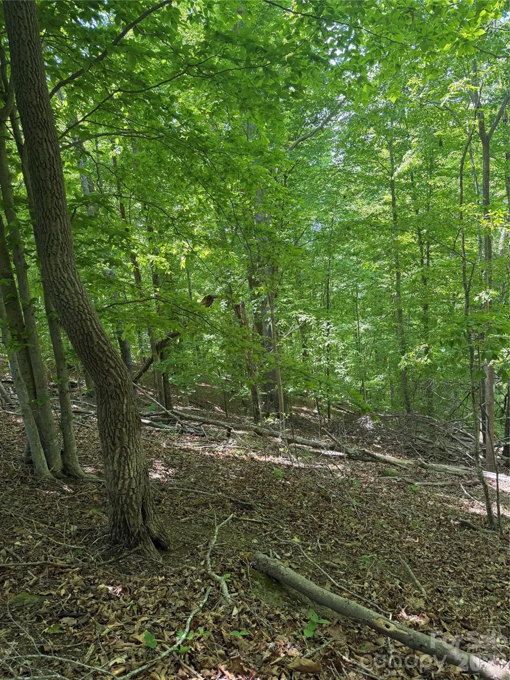 0 Creekside Circle #135 Rutherfordton, NC 28139