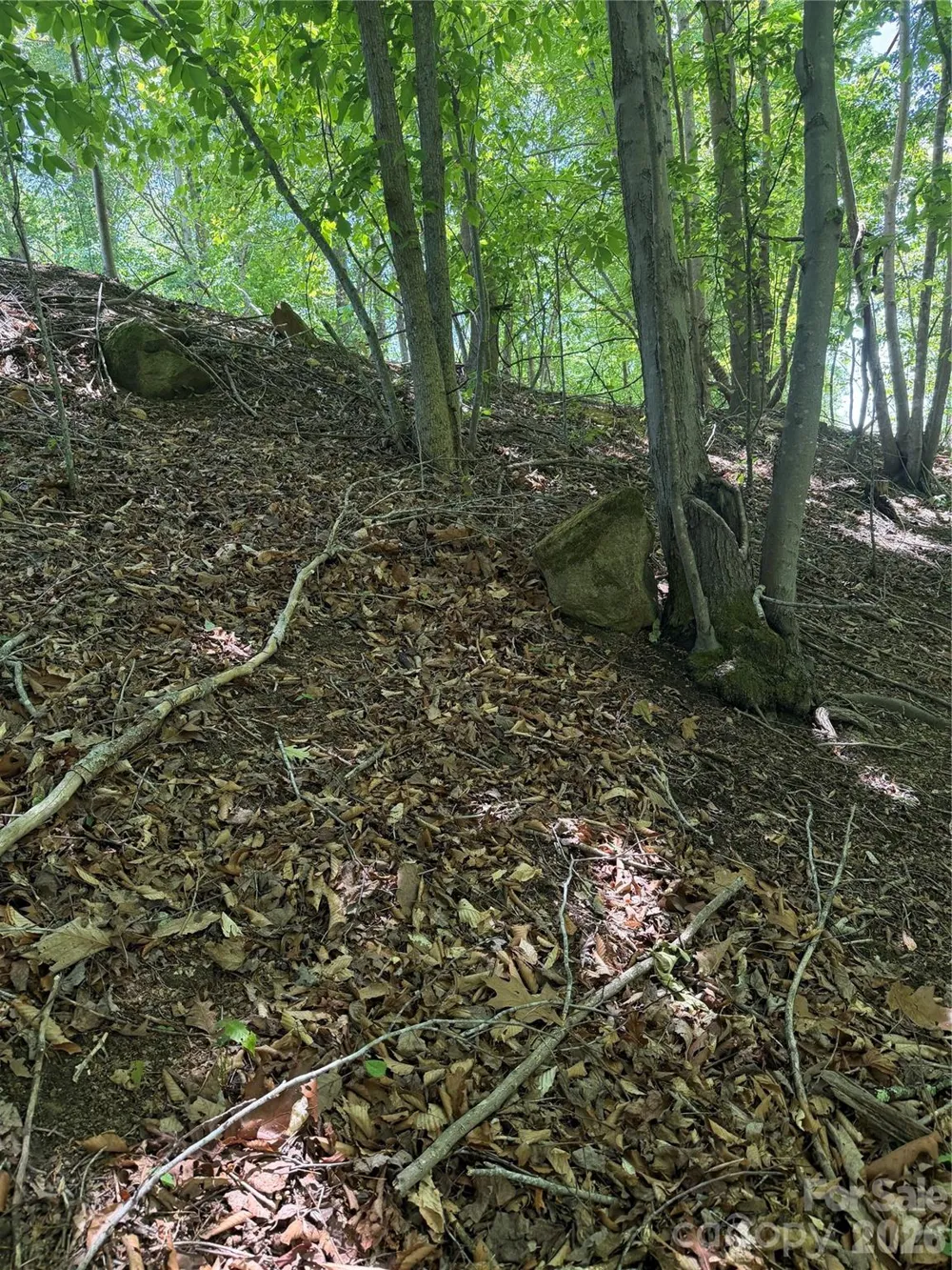 0 Creekside Circle #135 Rutherfordton, NC 28139