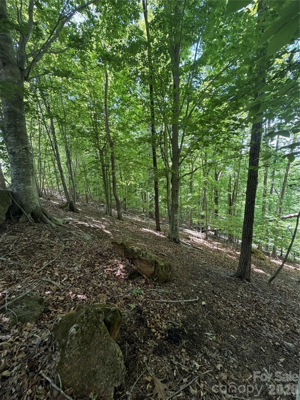 0 Creekside Circle #135 Rutherfordton, NC 28139