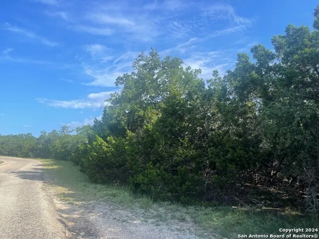 LOT 45 TROPHY DR Bergheim, TX 78004
