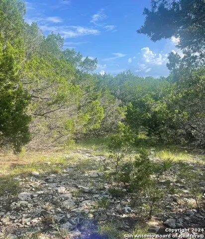 LOT 45 TROPHY DR Bergheim, TX 78004