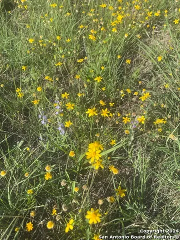 LOT 45 TROPHY DR Bergheim, TX 78004