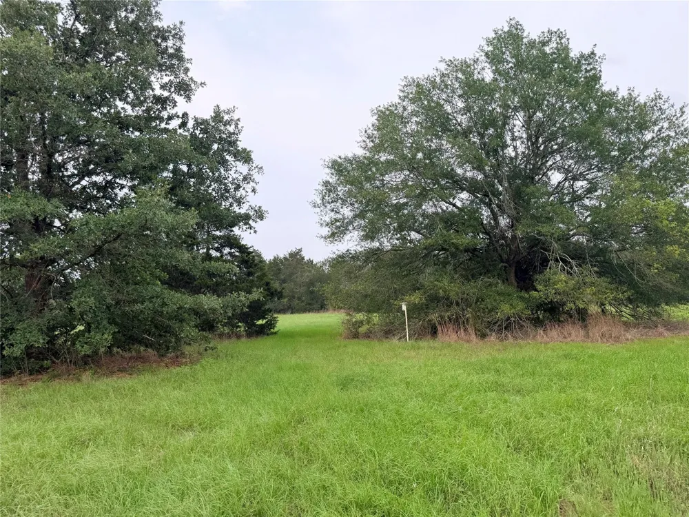 1766 Fm 2104 Paige, TX 78659
