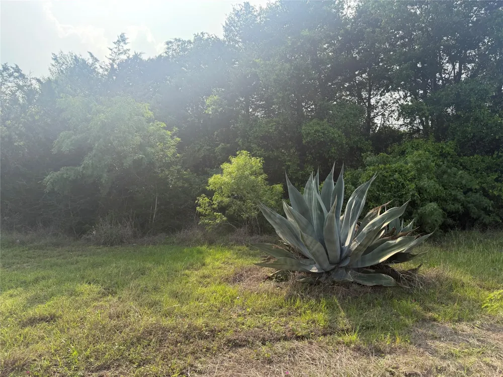 1766 Fm 2104 Paige, TX 78659
