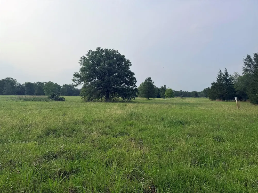 1766 Fm 2104 Paige, TX 78659