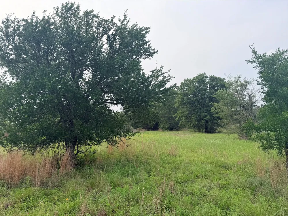 1766 Fm 2104 Paige, TX 78659