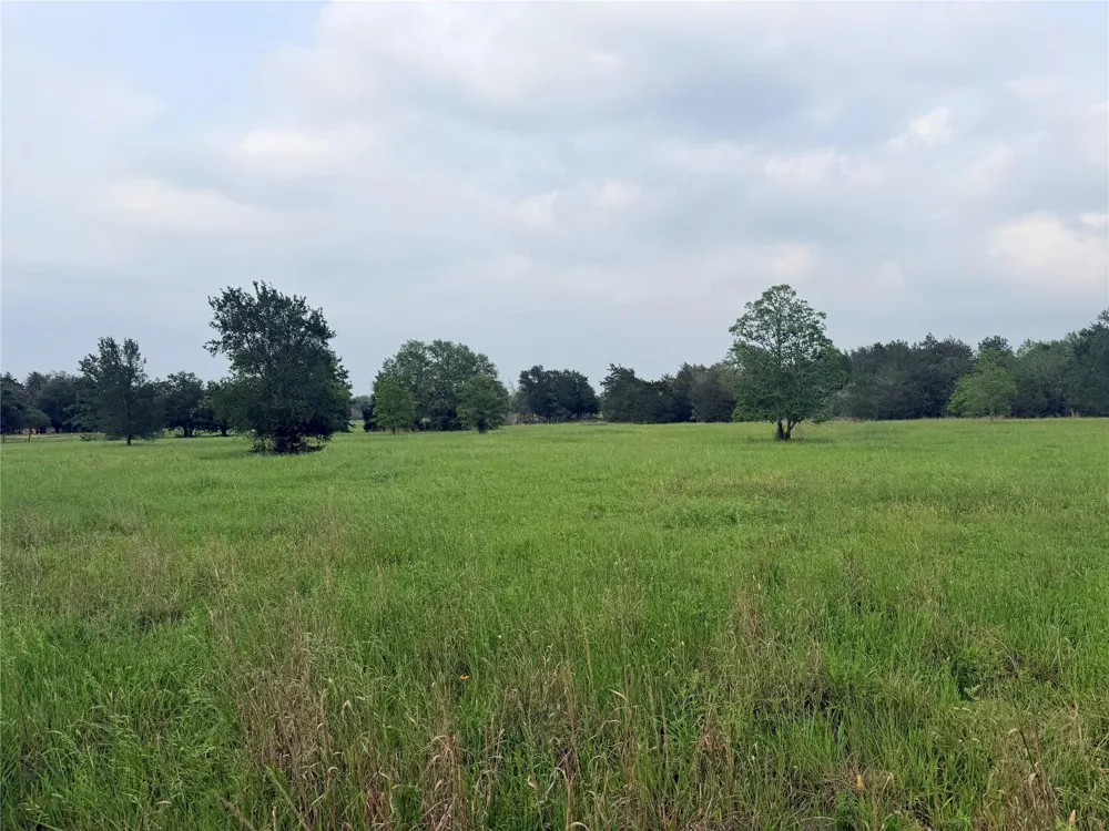 1766 Fm 2104 Paige, TX 78659